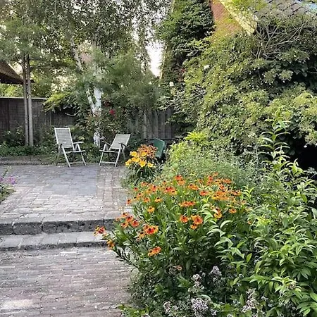 Vila Heerlijke Boerderij Bij Veluwezoom In Het Oude Dieren